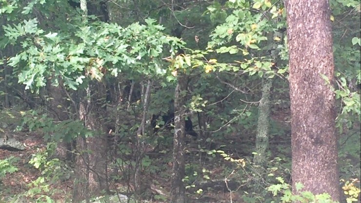 FullSizeRender (4).jpg