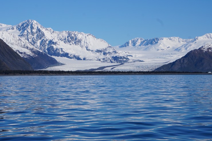 0132EE13-1A81-4E22-B273-D6499ABB3B9B