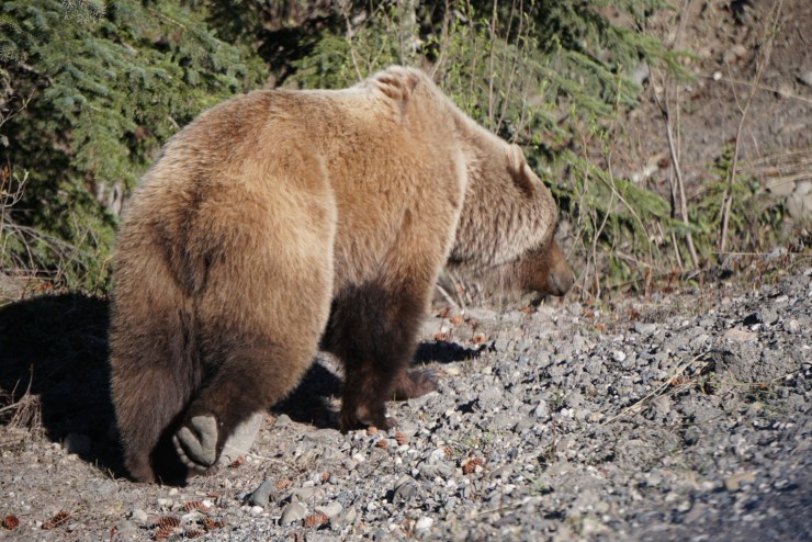 030588BF-290B-458C-B8A4-37C6B589D7EA