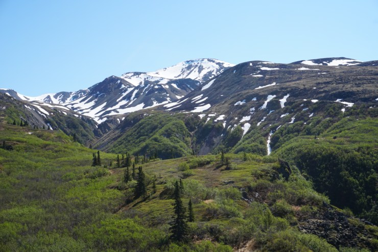 045258A2-6721-47F4-BA97-EB3F0F577AA5