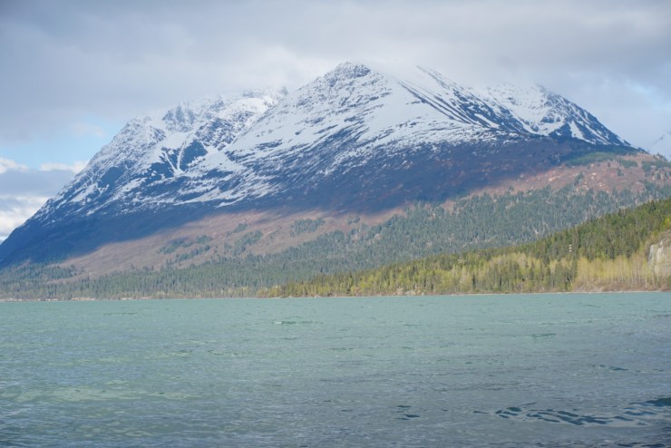 08B83BB8-408F-4A4C-AEAA-CBE5DE9F510F