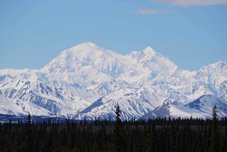 1381A2CC-443A-4CE8-AA9A-ED2B097E9AE4