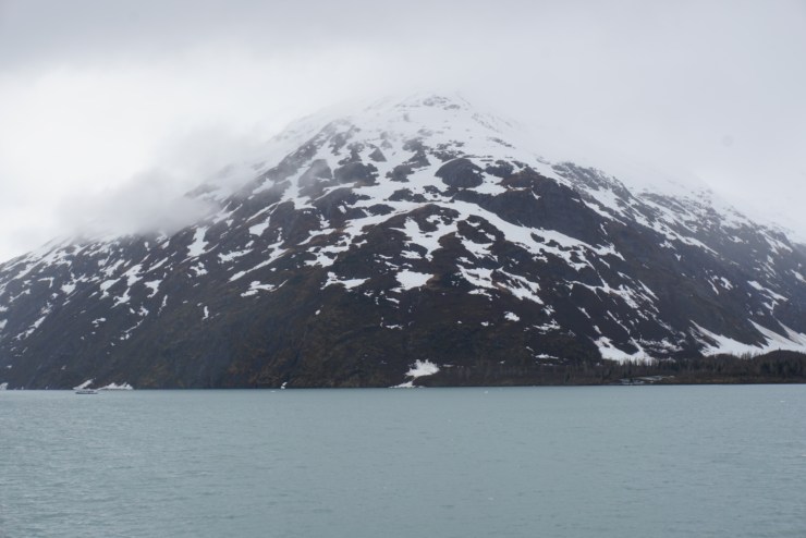 14BCC391-701C-4BB4-8907-DBCA7C3ECB80