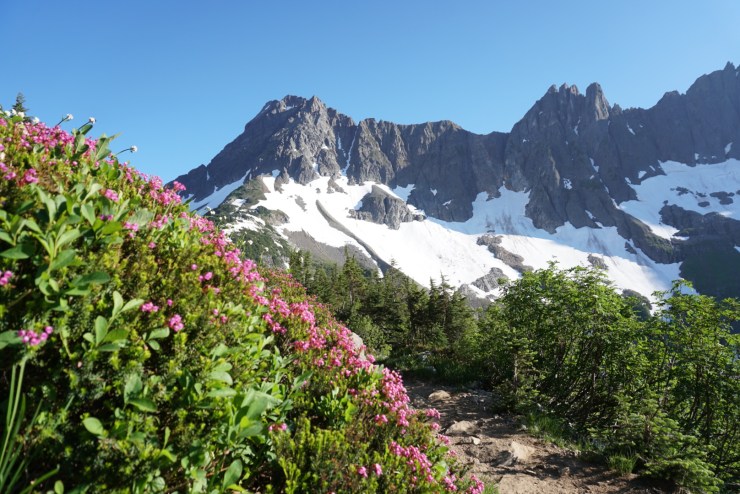 2791A233-962A-4127-A067-05C7A00D6646