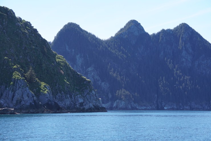 34089F77-82EE-4E8D-A105-D885682948E2