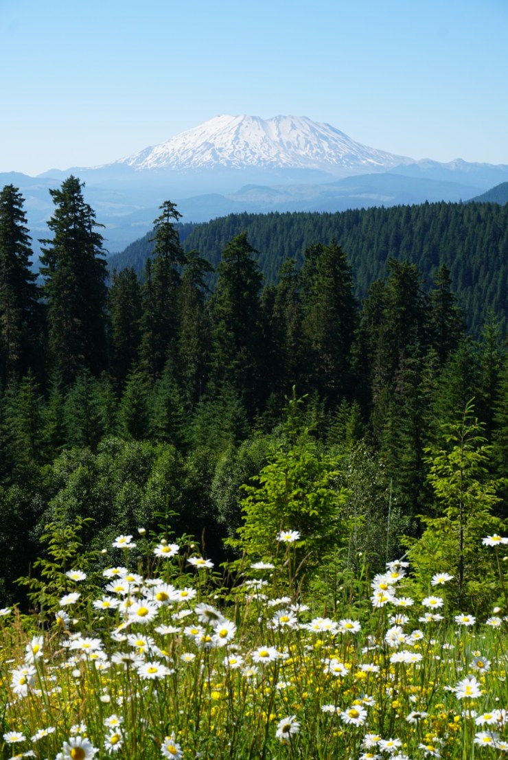 3C312513-287E-425E-99EC-63BA2E858C52