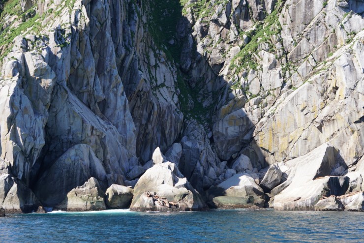 3D64B0D4-C233-4C5C-B08D-129DD886B4EC