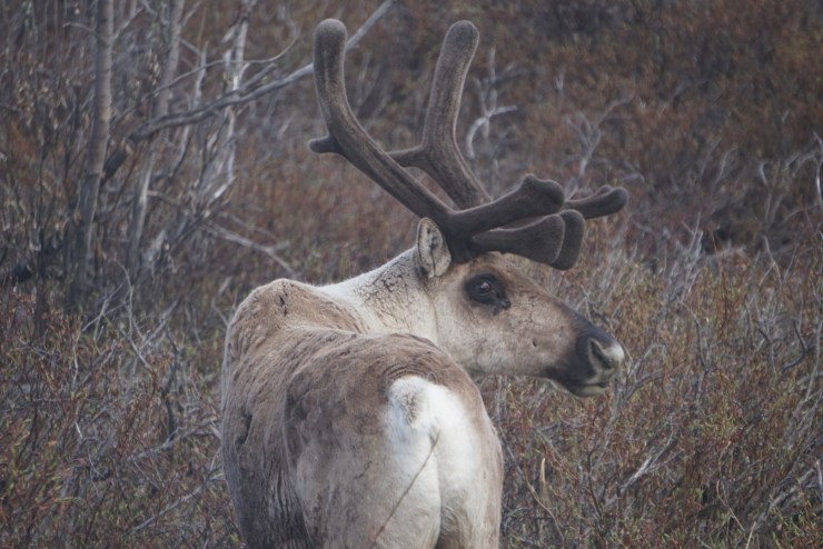 3DFDCDBC-6736-4DC9-B293-71F53F1F007A