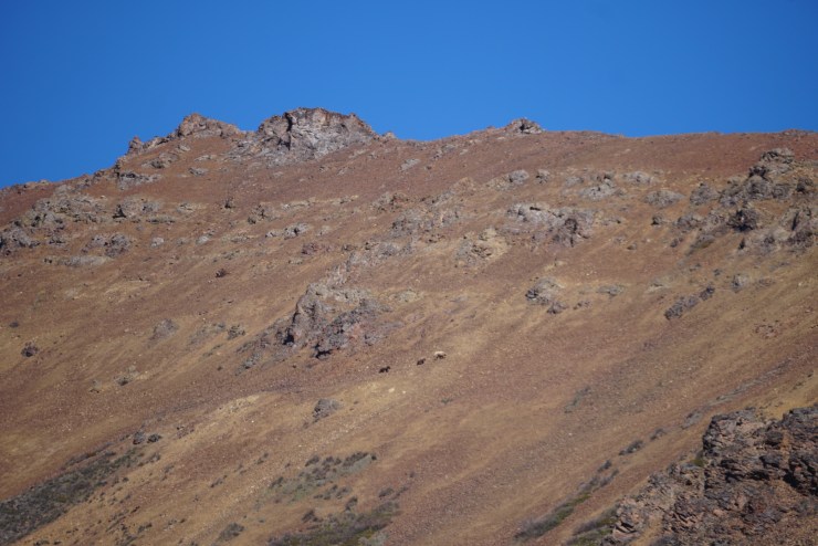 4A720824-7B7C-45C6-B951-B2408EE1ED84