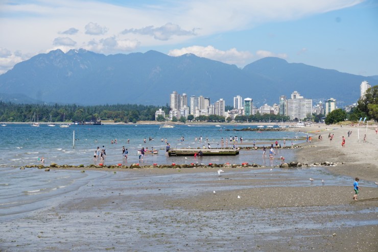 4AF62F1C-6BEC-449C-B362-11679266C99C