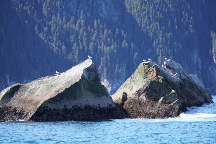 4B7B7A4F-F186-46C3-B1FC-E48AF086729F