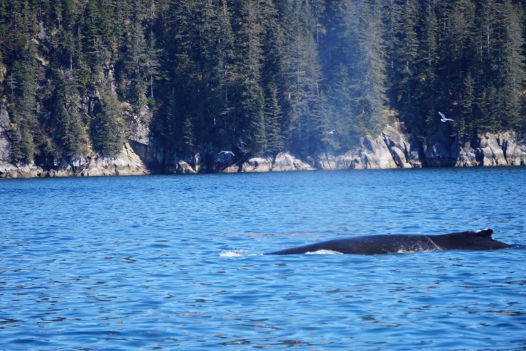 5115A757-1F2D-4B1B-BF75-325D40390760