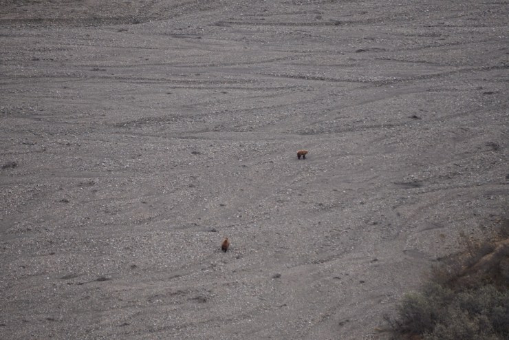 51F0EE5C-A8EA-4F13-8506-200CB8A43C3D