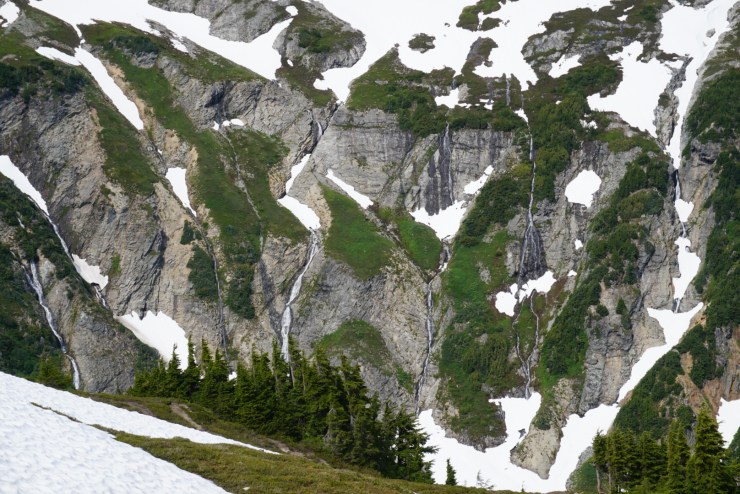 5FA88919-464F-4E7C-B0C3-8A78A5BA422B