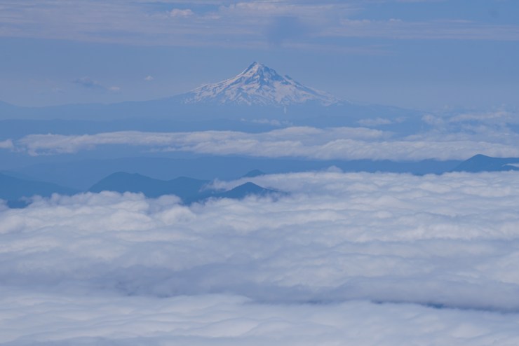 61974C94-A1F3-4C76-BAD9-92CA3DD7C217