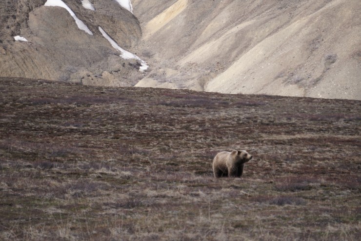 6997B78C-6B06-4C31-92AE-A2C1BEF8FE36