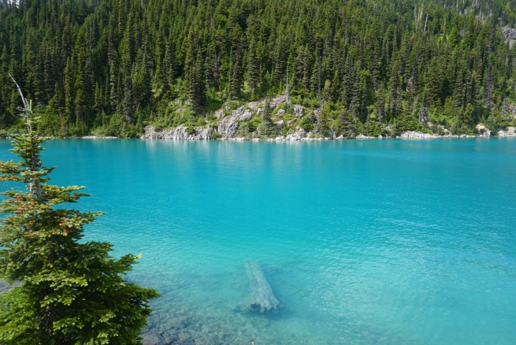 6E868C4D-76E2-4C79-976C-50FCBC7F7AFE