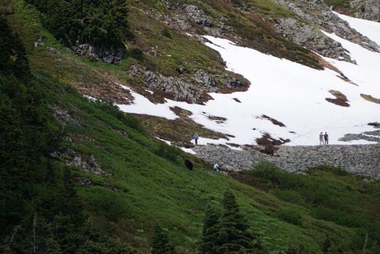 73EE97C1-3ED7-4019-A216-8EDD939784B3