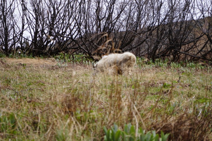 7A0C889C-D50C-4A42-9C1A-B68DABB27684