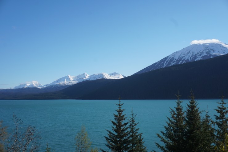 7A185B49-422F-457B-B423-D5624DC64018