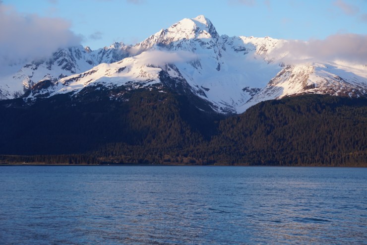 859AADA7-B3AB-4A82-A8C3-326FB9D5C655