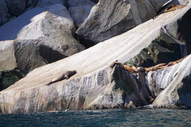 9A3A94C7-7377-40A4-B0BC-E127242E8D21