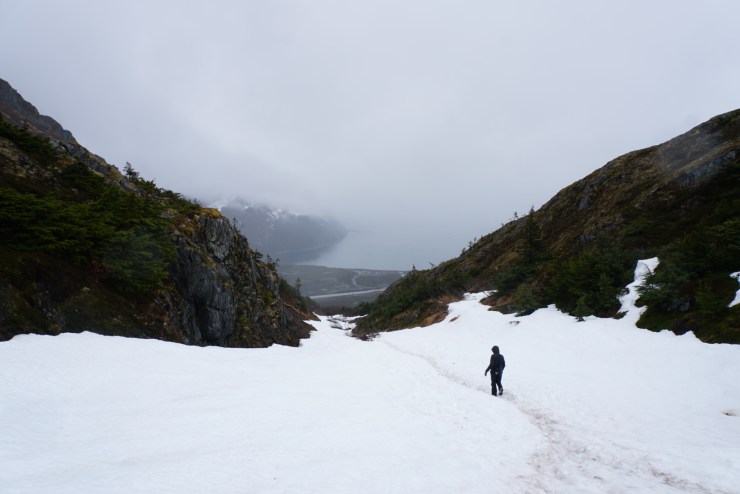 ABDA6D90-BD10-4DAD-8217-09E7E4574952