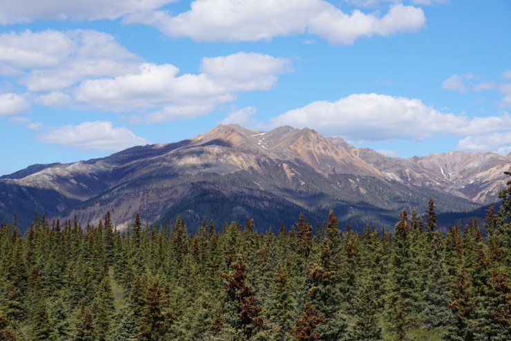 AC7D2171-2A55-4EAF-886D-56ACF95DDF79