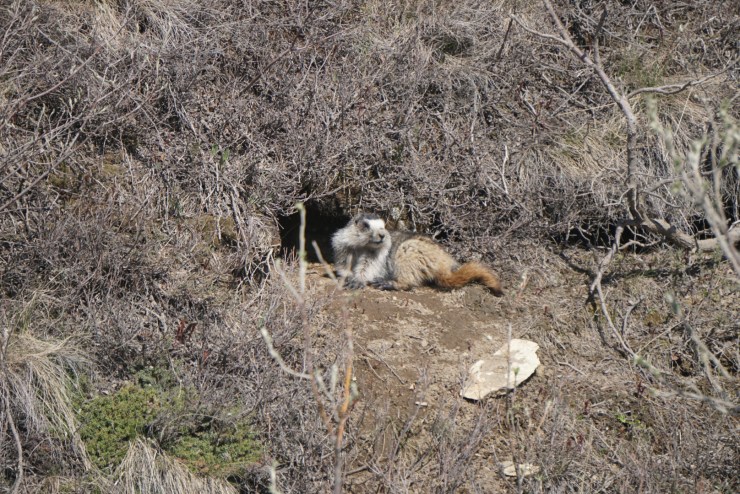 AFEA076A-3F7F-49AA-80D7-4B46A46CDC64