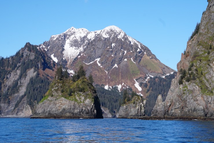 C524D295-9A91-43F0-9884-D80706BC4165