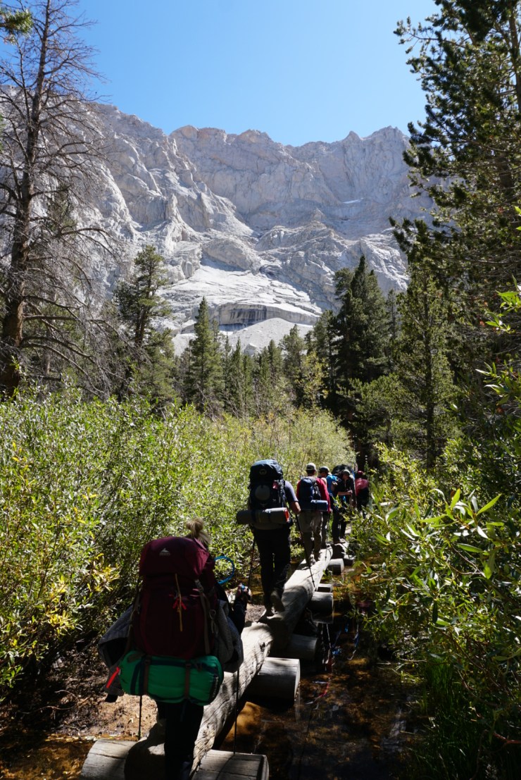 C6F994D7-7508-4529-9A56-B4C0D9A22EA2