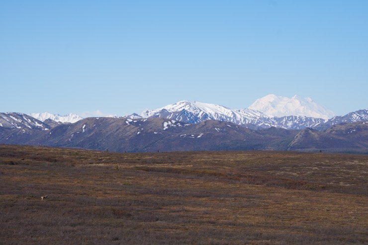 CCB9E786-5A2C-4745-87ED-2C1AC4C708BD