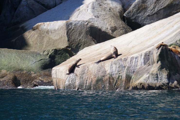 D3450413-79BF-429F-87E5-65C2003A0D44