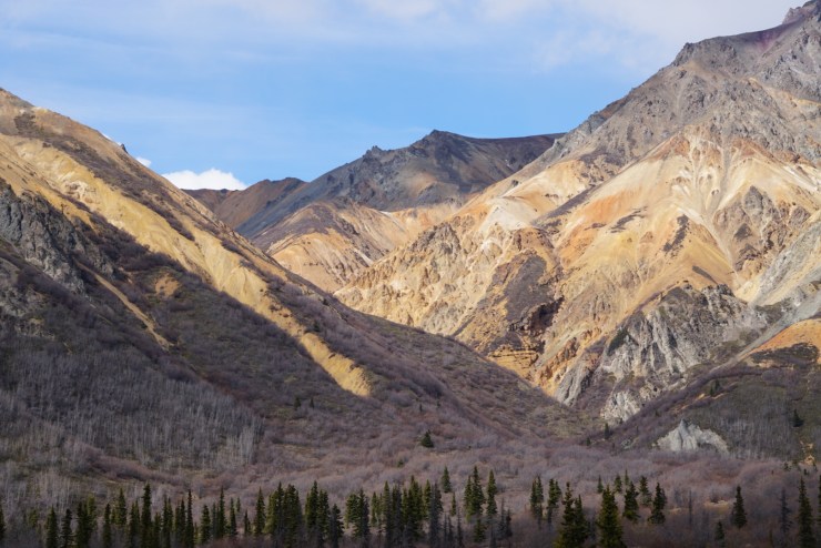 D4248898-180C-469E-8429-6F454468936B