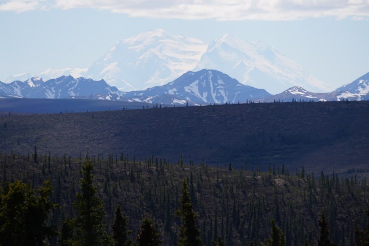 DDD511A4-1855-4DE9-8780-A9CFB9DD1990