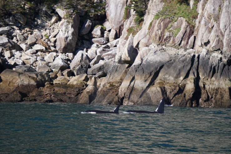 DE843B44-BD00-47DB-A84F-469D7D5A0405