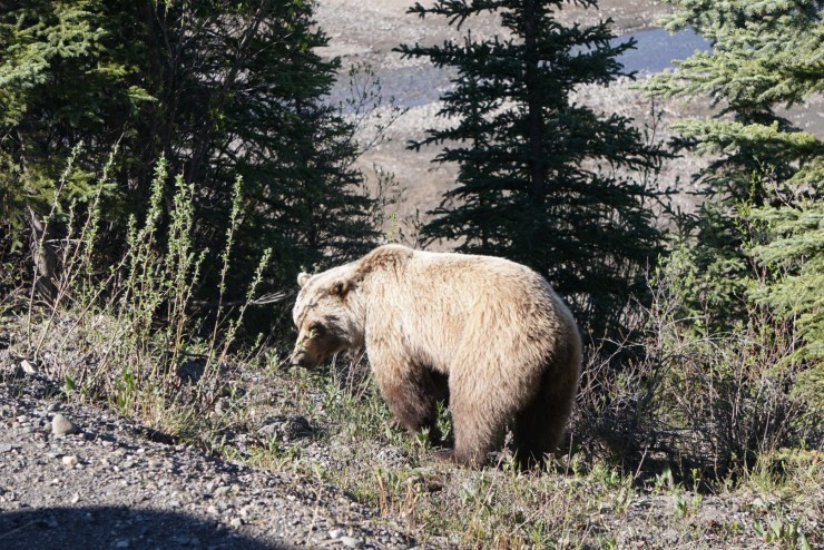 E08C34B6-57DF-41D8-92D2-862D712670B0