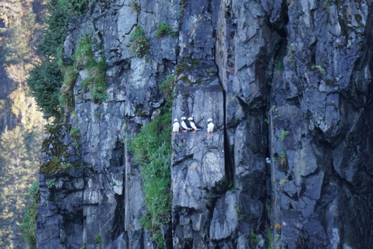 E0FF5B38-A319-42D5-87E9-BD2CE768C04E