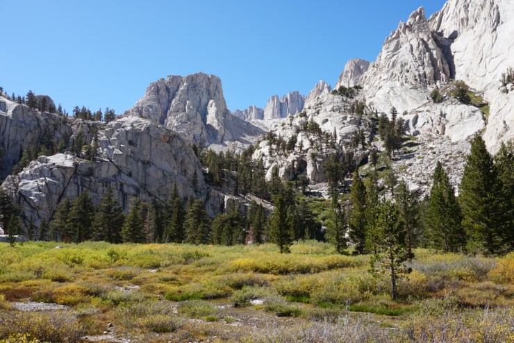 E98D0ABC-D40F-4DF2-8C07-62947C4A3383