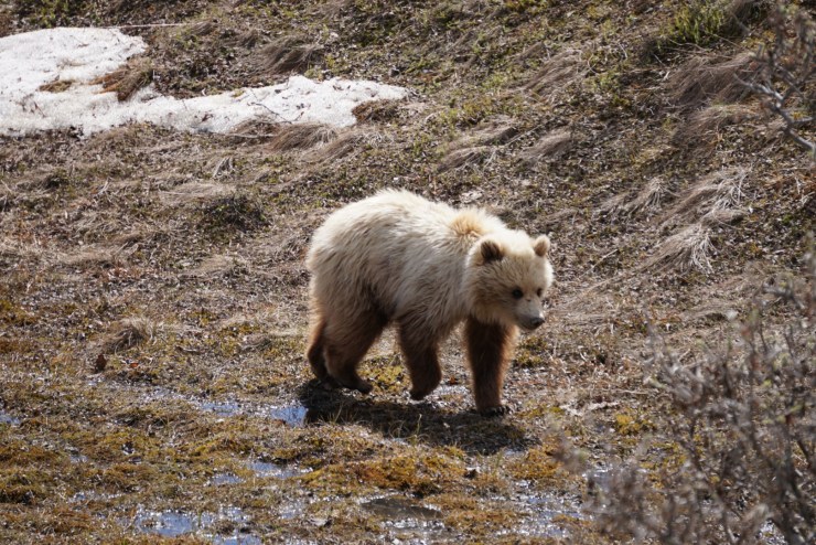 E9CD16F5-56B2-492F-89E2-250796FFA602