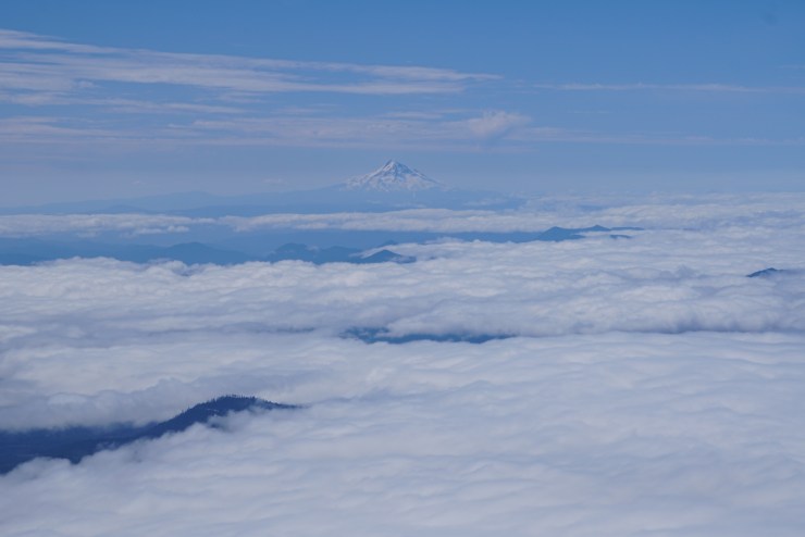 F7080D4F-0A2C-463C-8BAF-ED68E8ACCCE5