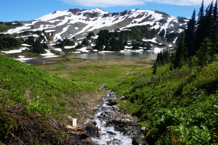 FC5321C4-3D5C-4EC8-BB9C-D5CC6B9ACFD8