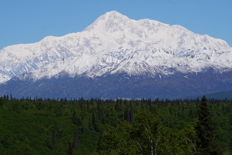 FD9C4FC8-480E-449E-A157-8FA094E4EA3C