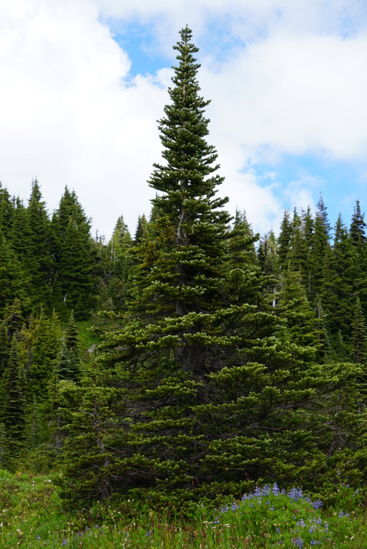 974AA15B-53A3-49D6-8FC5-3926376E5FFE