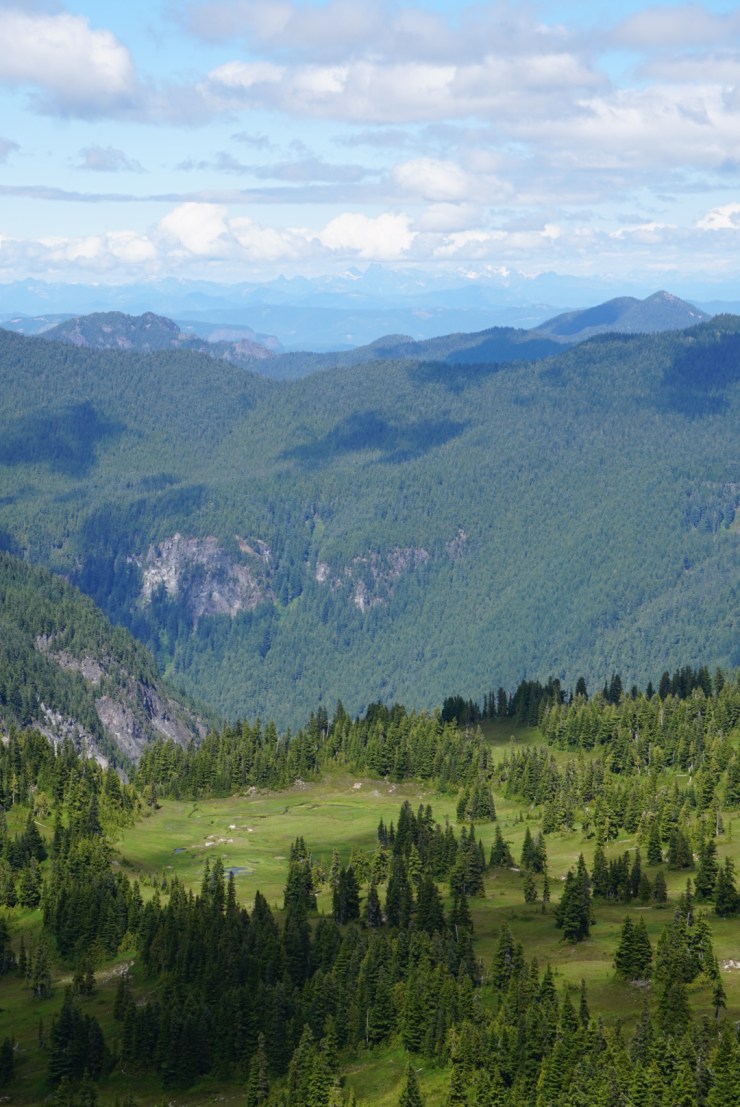 A08BD73A-4540-4726-88C8-44C5DC67D5CA