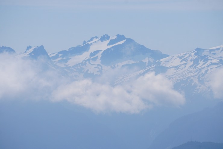 8242fb5e-ed8b-4d39-9db0-c939b30c42e9