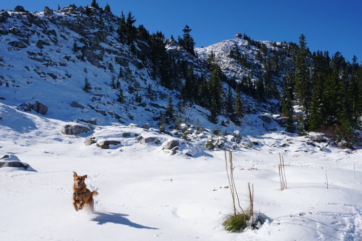 899dc84b-e845-499d-936a-d32bad871bbd