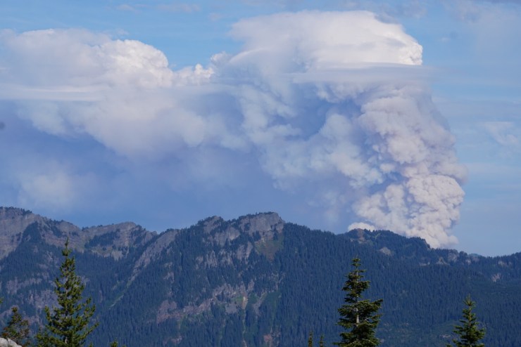 cdc3950d-e58b-48cb-98c6-cb59c9c0d856