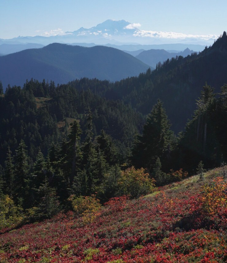 ef0eea13-da6e-423d-9eeb-a0e1752d8952