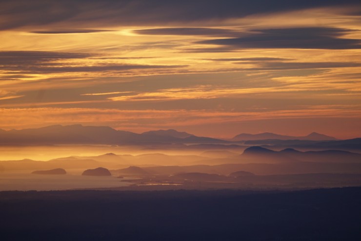 f4a35acc-8135-4b95-98e9-dbe12a1cdb16